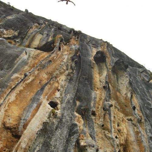 Poo de Cabrales - Eva Martos